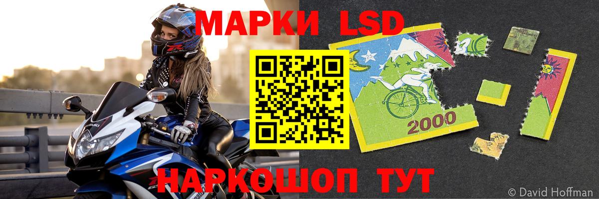 Лсд 25 экстази ecstasy  Вход с VPN  Волхов  Лсд 25 экстази  Лсд 25 экстази ecstasy 